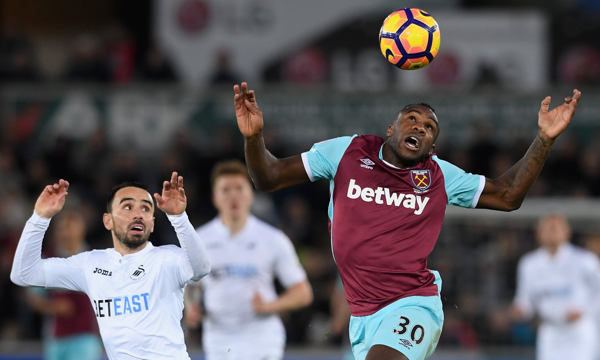 及教练杨鸣 及教练杨鸣